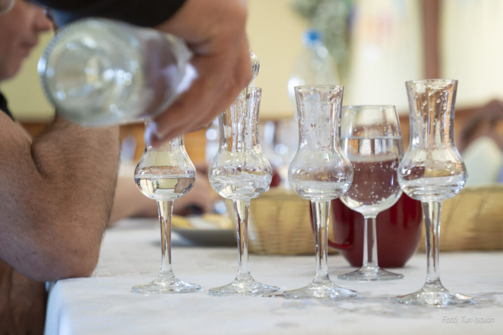 A pálinkamustra egyik legfontosabb mozzanata, amikor a párlatokat gondosan kitöltik a kóstolópoharakba. A szakértő zsűri figyelmesen értékeli az illatot, ízt és tisztaságot, hogy a legjobb pálinkák kiemelkedhessenek a mezőnyből.